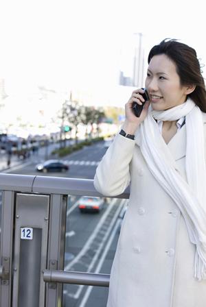 素早く検索が可能な電子カタログ